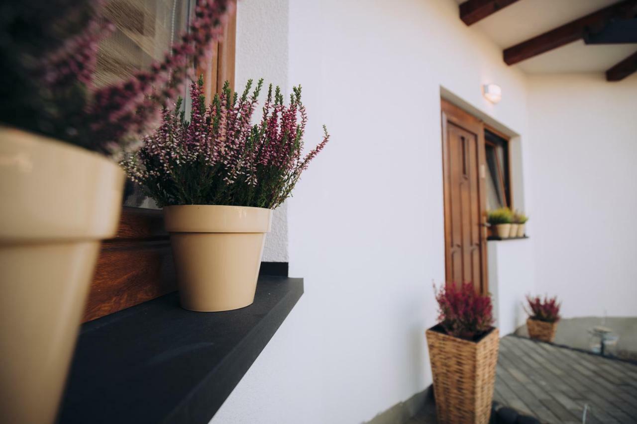 Zakopianska Stodola Apartment ซาโกปาเน ภายนอก รูปภาพ