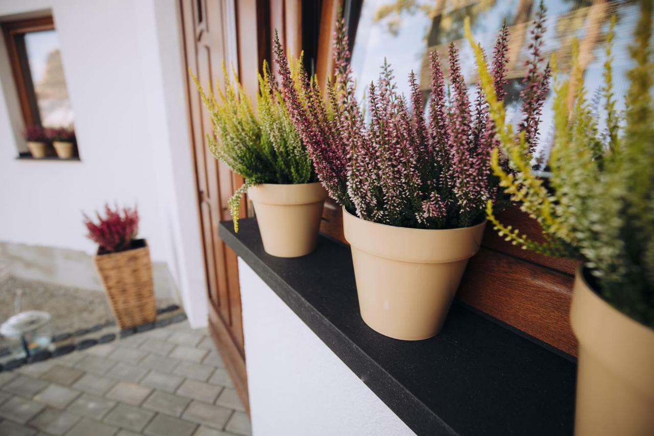 Zakopianska Stodola Apartment ซาโกปาเน ภายนอก รูปภาพ